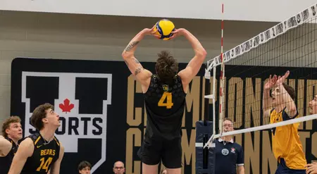Bears fall to Brandon in national final