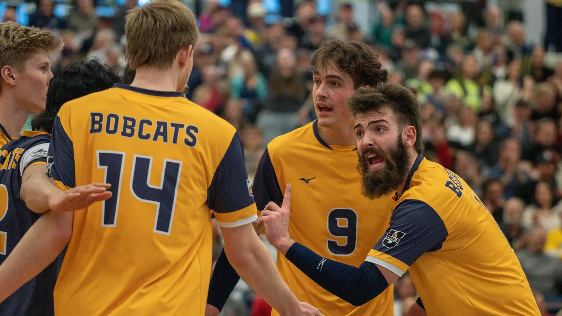 Bobcats secure spot in semifinals with sweep of
Wesmen