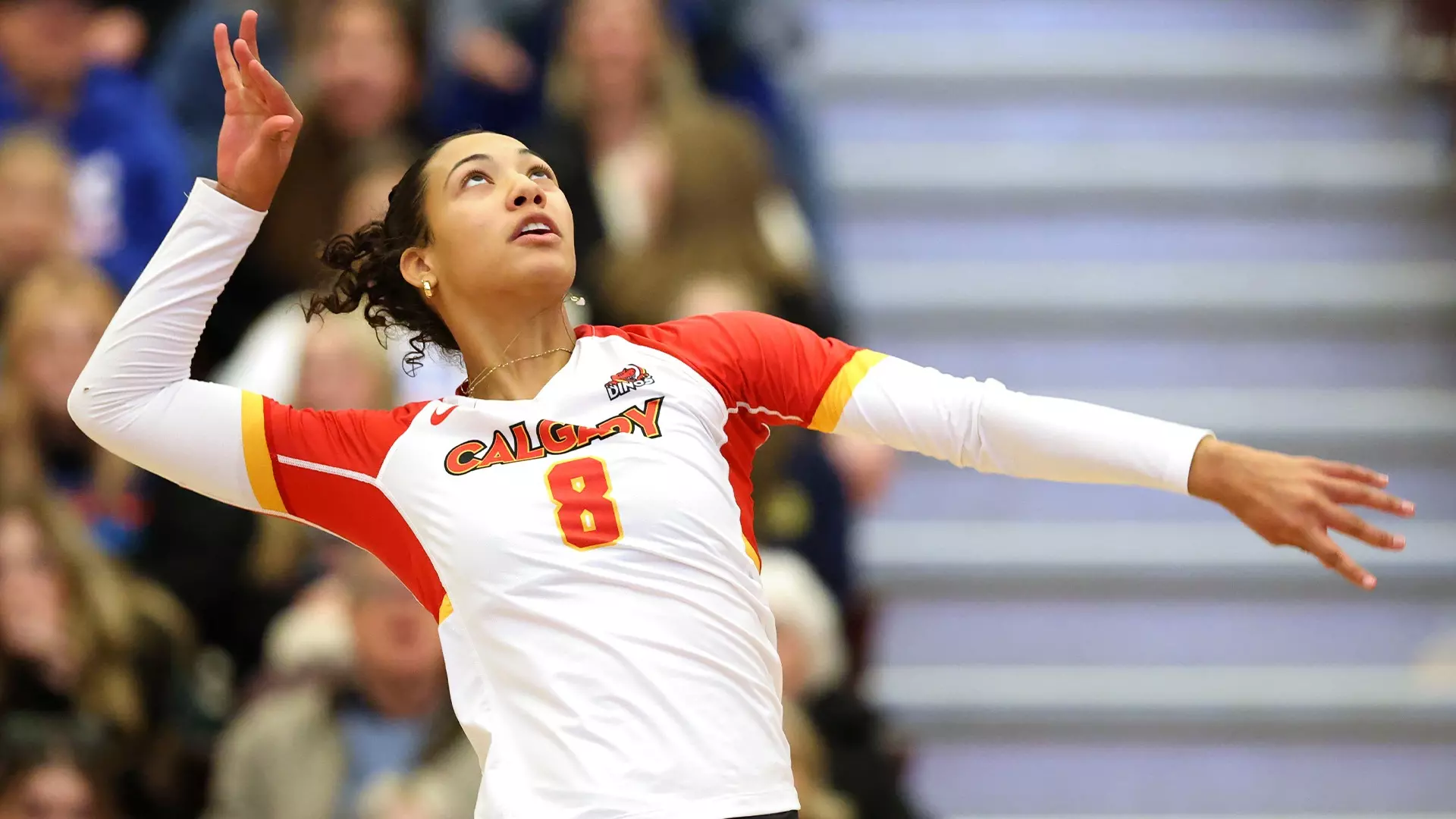 Dinos volleyball returns to The Jack Oct. 17